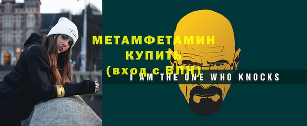индика Вяземский