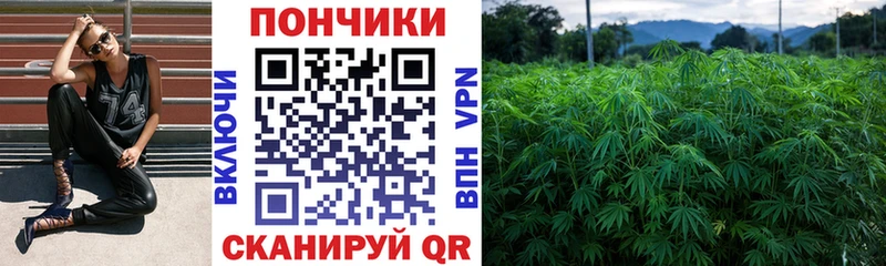 Конопля индика  нарко площадка официальный сайт  Навашино 